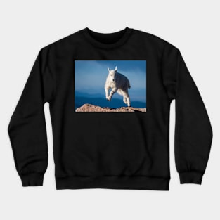 Jumping For Joy Crewneck Sweatshirt